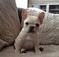 Click to view classifieds UYGKOOJC