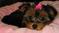 Click to view classifieds GXMYPUZQ