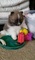 Click to view classifieds EFFQGFLD