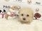 Click to view classifieds URHQZEVZ
