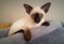Click to view classifieds XTLNACWJ