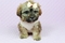 Click to view classifieds QOKRORFB