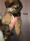 Click to view classifieds LDUVPYDH