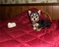 Click to view classifieds MTLYXOLH