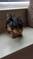 Click to view classifieds VUYVYHRJ
