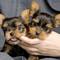 Click to view classifieds XEJMKMSR
