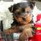 Click to view classifieds CLQCNRBU