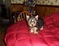 Click to view classifieds HHCUTERP