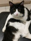 Click to view classifieds XUVPSDUJ