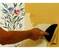 Click to view classifieds FAAKPUSQ
