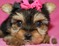 Click to view classifieds AZQLQFHY