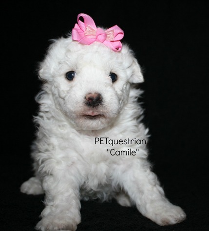 1 little girl left