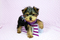 Click to view classifieds ZEGHCAVF