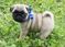 Click to view classifieds HHHEHQYY
