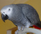 Click to view classifieds GEHQTZVV