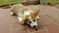 Click to view classifieds RNAUFJGZ