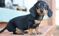 Click to view classifieds GNWADLVW