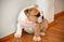 Click to view classifieds CQWGNWVQ