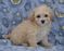 Click to view classifieds NURPDTST