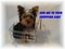 Click to view classifieds EMSBYCUB