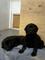 Click to view classifieds XEQBHTYO