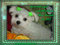 Click to view classifieds UUQCEUQO