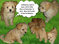 Click to view classifieds DBXRWPJX
