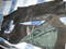Click to view classifieds XNKSXFUA