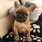 Click to view classifieds GGMOAQWG
