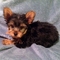 Click to view classifieds TSYOCEBN