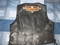Click to view classifieds EVBETFLG
