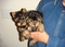 Click to view classifieds NDUGDKLM