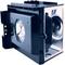 Click to view classifieds CRCRJODJ