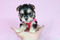 Click to view classifieds LKQLTNSS