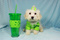 Click to view classifieds YYELNKVB