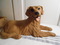 Click to view classifieds PSSMPDRT
