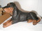 Click to view classifieds COMZXVZD