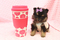 Click to view classifieds QBXAZDHX