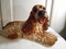 Click to view classifieds CFWMEQMQ