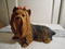 Click to view classifieds LJYSFCLQ
