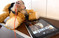 Click to view classifieds UXFYLCFX