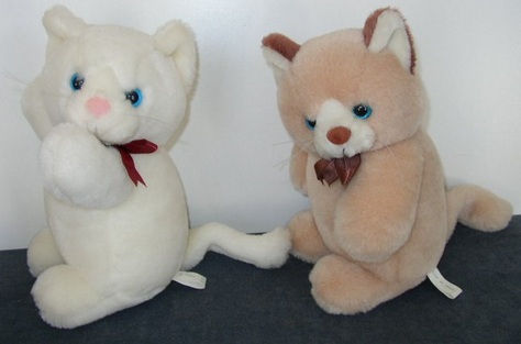 Twin Cats