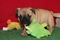 Click to view classifieds UHDMMABS