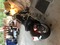 Click to view classifieds RHYOKSQS