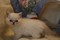 Click to view classifieds SVXKTJUQ