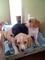 Click to view classifieds BQQTHLEM