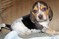 Click to view classifieds WJUSFTSR
