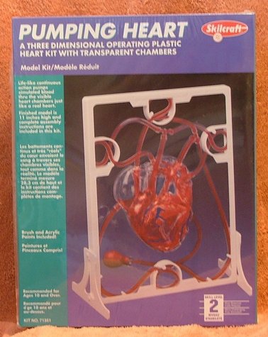 oumping heart