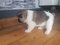 Click to view classifieds PZNNHBLQ