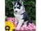 Click to view classifieds RREZWFPP